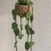 Handgehäkelte Pflanze im Topf: Herzförmige Blätter, Lavendel, Farn, Monstera, Steh- & Hängeversion, Baumwollgarn