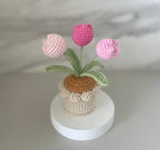 Gehäkelter Tulpen-Blumentopf, Handarbeit, Rosa, Lila, Orange oder Blau, Deko-Geschenk