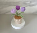 Gehäkelter Tulpen-Blumentopf, Handarbeit, Rosa, Lila, Orange oder Blau, Deko-Geschenk