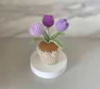 Gehäkelter Tulpen-Blumentopf, Handarbeit, Rosa, Lila, Orange oder Blau, Deko-Geschenk