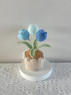 Gehäkelter Tulpen-Blumentopf, Handarbeit, Rosa, Lila, Orange oder Blau, Deko-Geschenk