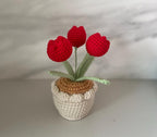 Gehäkelter Tulpen-Blumentopf, Handarbeit, Rosa, Lila, Orange oder Blau, Deko-Geschenk